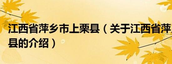 江西省萍乡市上栗县（关于江西省萍乡市上栗县的介绍）