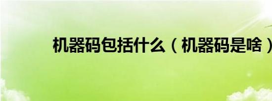 机器码包括什么（机器码是啥）