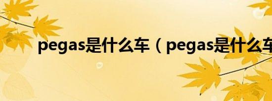 pegas是什么车（pegas是什么车）