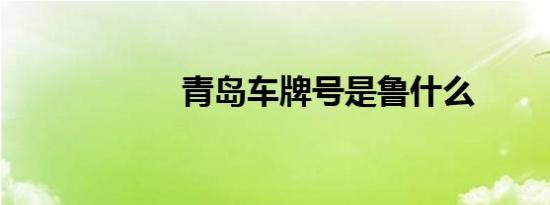 青岛车牌号是鲁什么