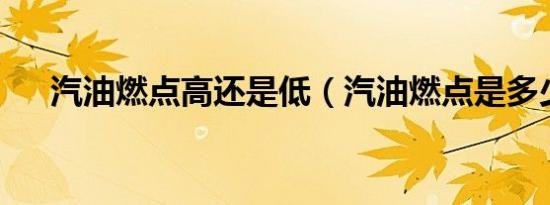 汽油燃点高还是低（汽油燃点是多少?）