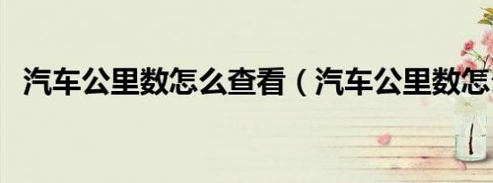 汽车公里数怎么查看（汽车公里数怎么看）