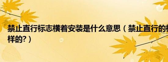 禁止直行标志横着安装是什么意思（禁止直行的标志是什么样的?）