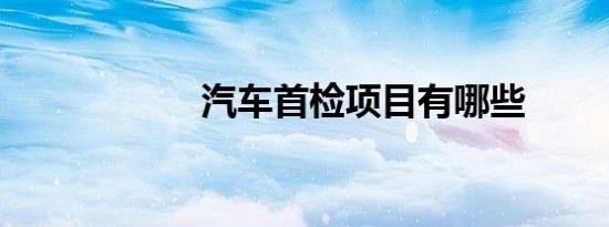 汽车首检项目有哪些