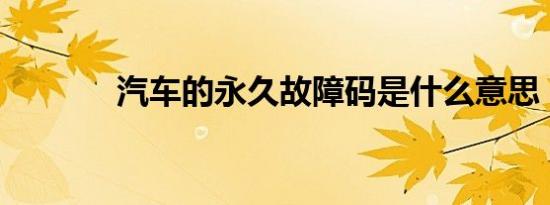 汽车的永久故障码是什么意思