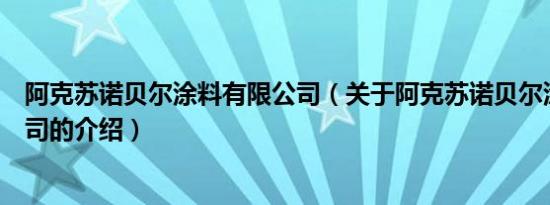 阿克苏诺贝尔涂料有限公司（关于阿克苏诺贝尔涂料有限公司的介绍）