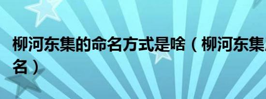 柳河东集的命名方式是啥（柳河东集用什么命名）