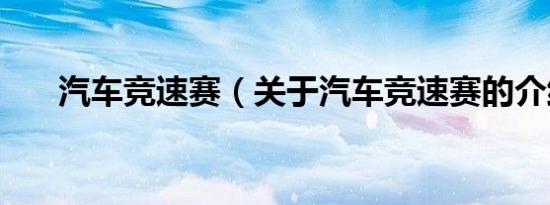 汽车竞速赛（关于汽车竞速赛的介绍）