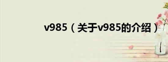 v985（关于v985的介绍）