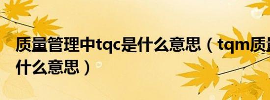 质量管理中tqc是什么意思（tqm质量管理是什么意思）