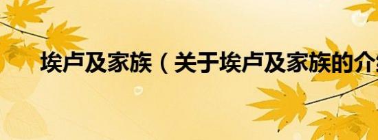 埃卢及家族（关于埃卢及家族的介绍）