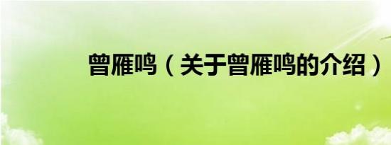 曾雁鸣（关于曾雁鸣的介绍）