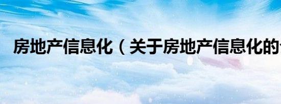 房地产信息化（关于房地产信息化的介绍）