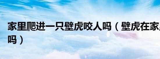 家里爬进一只壁虎咬人吗（壁虎在家里会咬人吗）