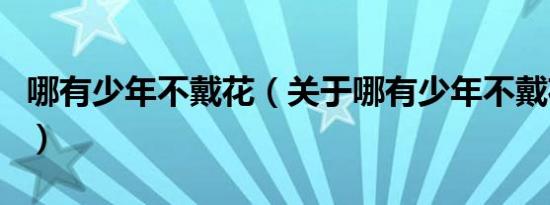 哪有少年不戴花（关于哪有少年不戴花的介绍）