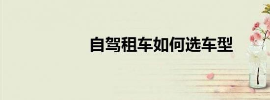 自驾租车如何选车型