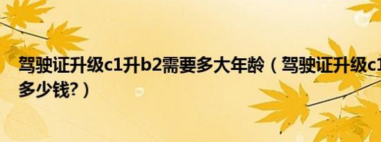 驾驶证升级c1升b2需要多大年龄（驾驶证升级c1升b2需要多少钱?）