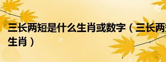 三长两短是什么生肖或数字（三长两短是什么生肖）