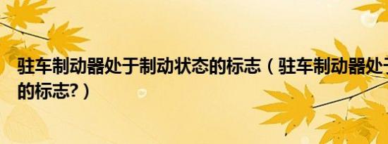 驻车制动器处于制动状态的标志（驻车制动器处于制动状态的标志?）