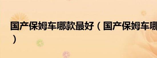 国产保姆车哪款最好（国产保姆车哪款最好?）