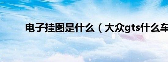 电子挂图是什么（大众gts什么车）
