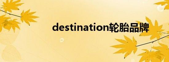 destination轮胎品牌