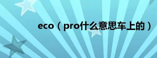 eco（pro什么意思车上的）