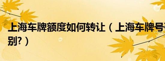 上海车牌额度如何转让（上海车牌号码怎么识别?）