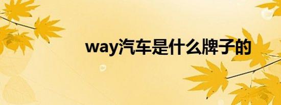 way汽车是什么牌子的