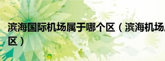 滨海国际机场属于哪个区（滨海机场属于哪个区）