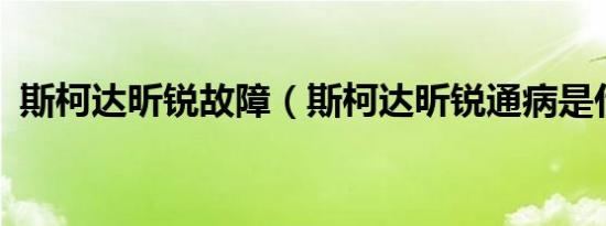 斯柯达昕锐故障（斯柯达昕锐通病是什么?）