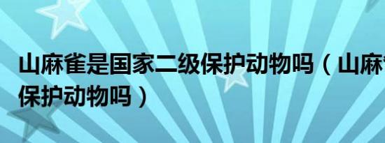 山麻雀是国家二级保护动物吗（山麻雀是国家保护动物吗）