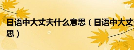 日语中大丈夫什么意思（日语中大丈夫什么意思）