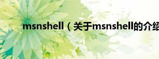msnshell（关于msnshell的介绍）