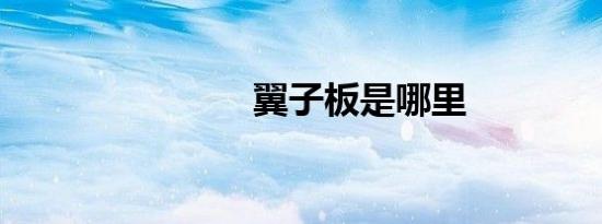 翼子板是哪里