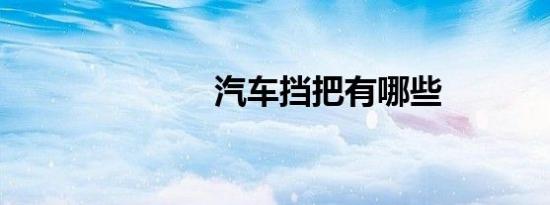 汽车挡把有哪些