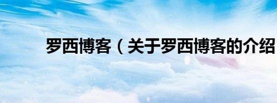 罗西博客（关于罗西博客的介绍）