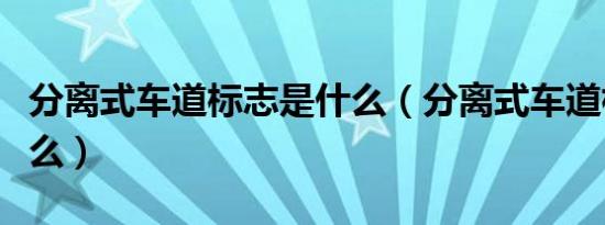 分离式车道标志是什么（分离式车道标志是什么）