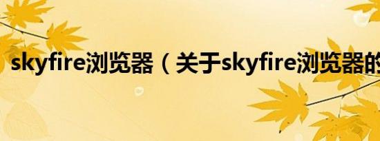 skyfire浏览器（关于skyfire浏览器的介绍）