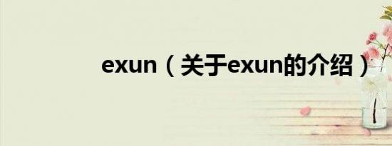 exun（关于exun的介绍）