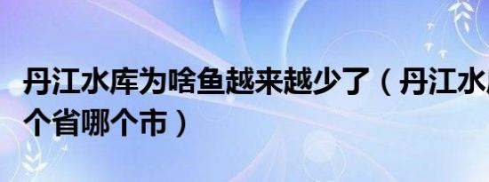 丹江水库为啥鱼越来越少了（丹江水库属于哪个省哪个市）