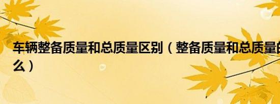 车辆整备质量和总质量区别（整备质量和总质量的区别是什么）