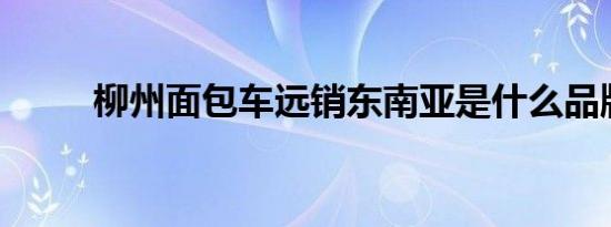 柳州面包车远销东南亚是什么品牌