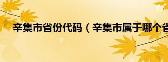 辛集市省份代码（辛集市属于哪个省份）