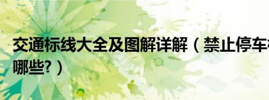 交通标线大全及图解详解（禁止停车标志标线哪些?）