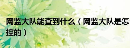 网监大队能查到什么（网监大队是怎么进行监控的）