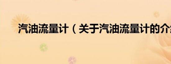 汽油流量计（关于汽油流量计的介绍）