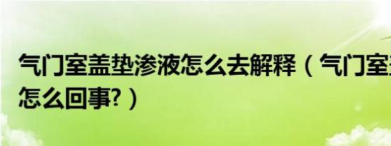气门室盖垫渗液怎么去解释（气门室盖垫渗液怎么回事?）