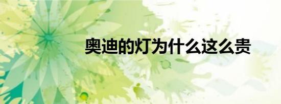 奥迪的灯为什么这么贵