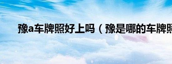 豫a车牌照好上吗（豫是哪的车牌照?）